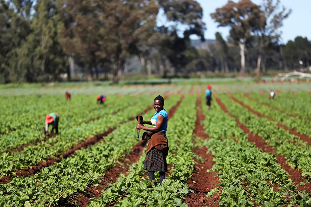 africanguaranteefund our values